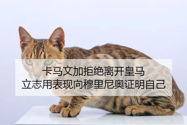 卡马文加拒绝离开皇马 立志用表现向穆里尼奥证明自己