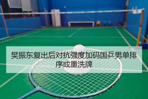 樊振东复出后对抗强度加码国乒男单排序或重洗牌